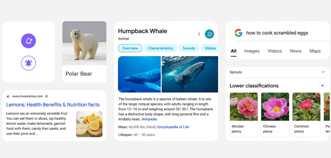 Google Is Redesigning Mobile Search Results