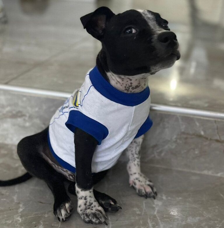 Portrait of Zeus