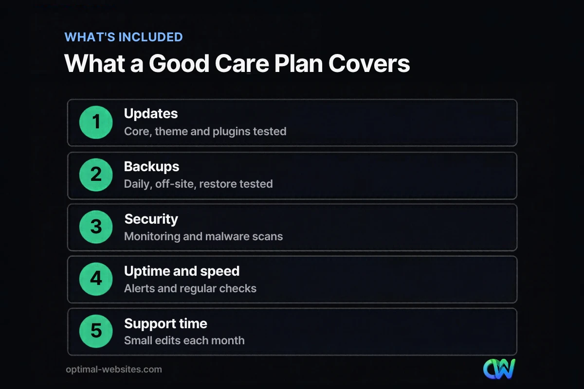 Checklist of what a website care plan should include